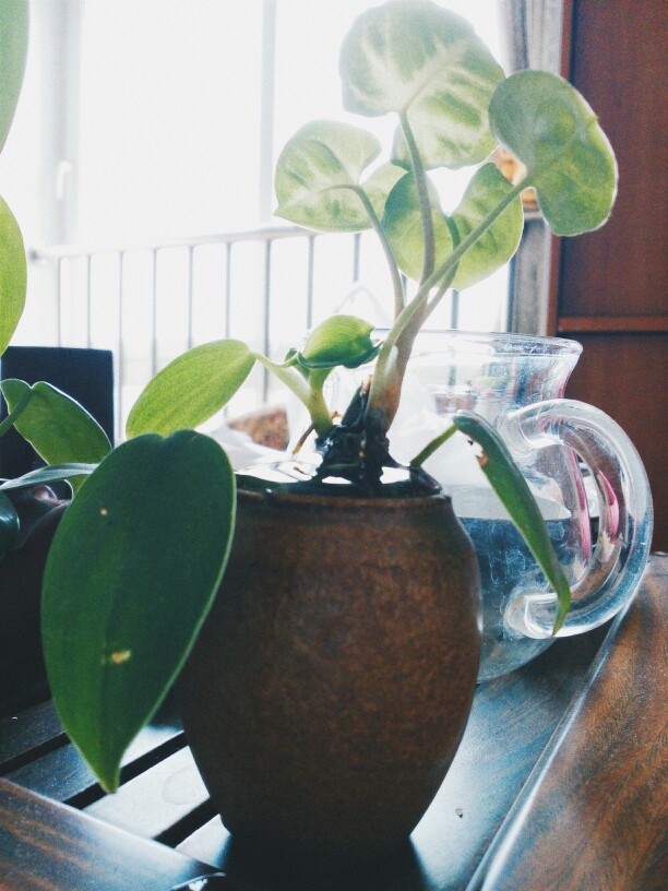 我以为这样就能闯遍天涯海角。