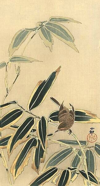 小原古邨，日本画家 おはらこそん 生没：明治10年(1877)～昭和20年(1945)，生于金沢，本名小原又雄，日本画家铃木华邨的学生。在美国Ernest Fenollosa博士的指引下，创作了许多销往美国的kacho-ga作品。大量花鸟（动物）画作品，描绘逼真，色彩柔和流畅，是极为精致的室内装饰画。