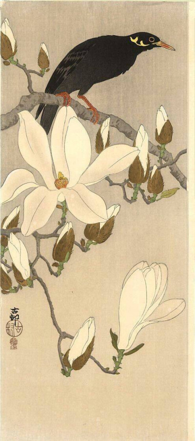 小原古邨，日本画家 おはらこそん 生没：明治10年(1877)～昭和20年(1945)，生于金沢，本名小原又雄，日本画家铃木华邨的学生。在美国Ernest Fenollosa博士的指引下，创作了许多销往美国的kacho-ga作品。大量花鸟（动…