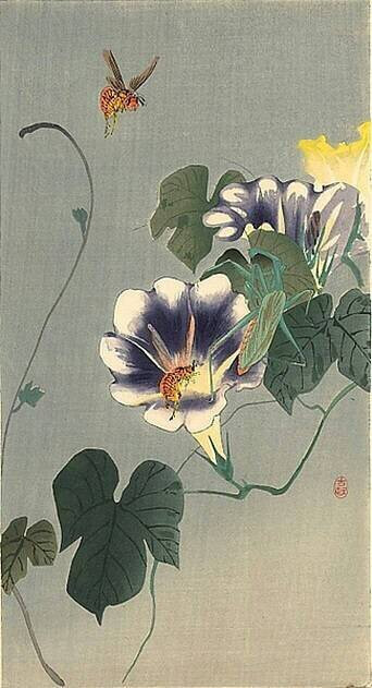 小原古邨，日本画家 おはらこそん 生没：明治10年(1877)～昭和20年(1945)，生于金沢，本名小原又雄，日本画家铃木华邨的学生。在美国Ernest Fenollosa博士的指引下，创作了许多销往美国的kacho-ga作品。大量花鸟（动物）画作品，描绘逼真，色彩柔和流畅，是极为精致的室内装饰画。