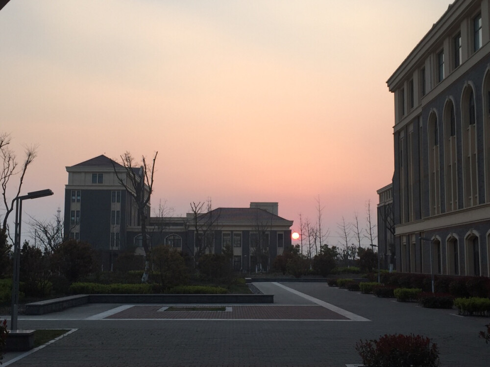 学校好风景 圆圆的夕阳