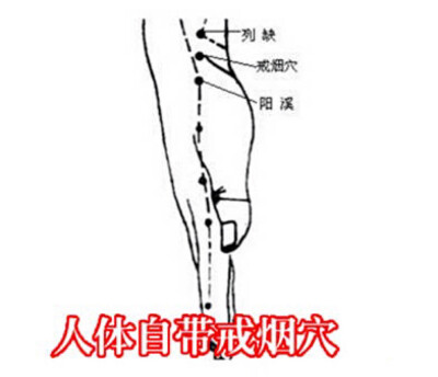 【人体自带戒烟穴】临床研究发现人体有个“戒烟穴”，针刺或指压该穴，患者口中会产生异味，重复多次后会形成“烟-异味-厌恶感”的条件反射，从而帮助戒烟。位于列缺穴与阳溪穴之间，在距桡骨颈突边缘约一拇指的柔软…