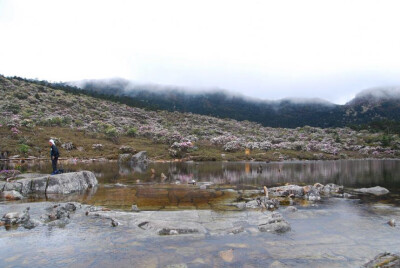 丽江老君山