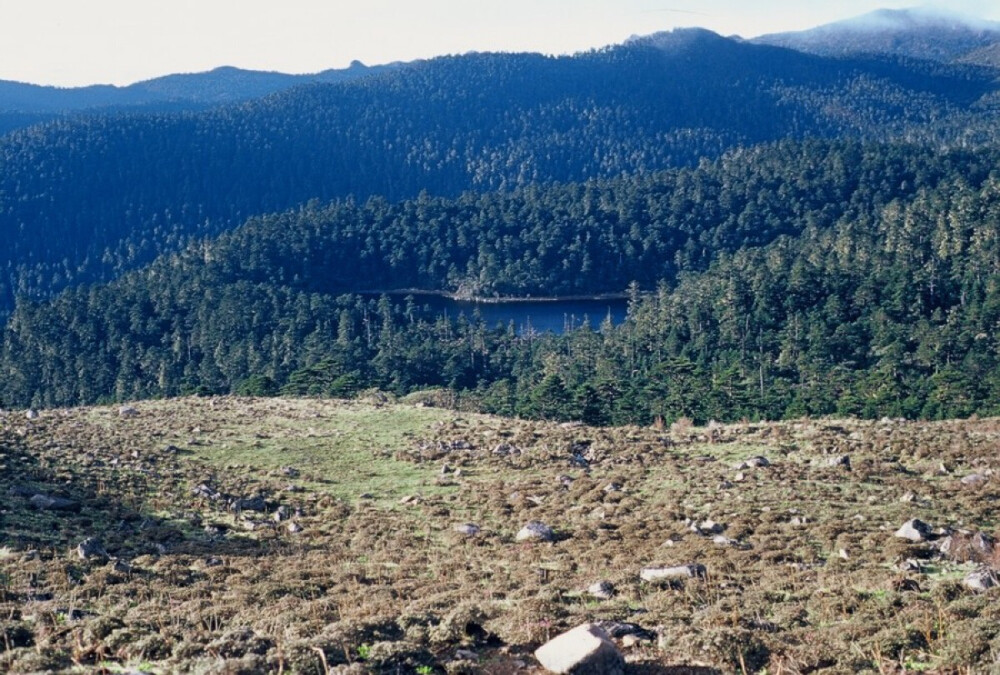 丽江老君山