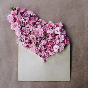 用信封装满鲜花送给你
