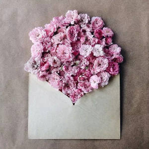 用信封装满鲜花送给你