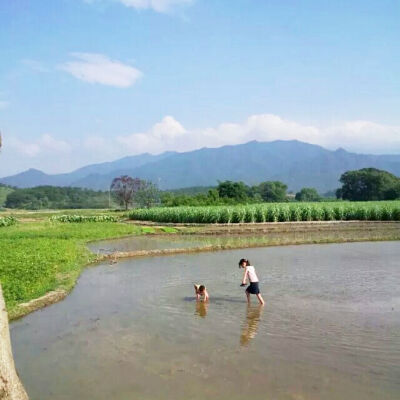 我本是农家之子，等一抹落日，守半亩清田，忙时挥汗，闲时喝茶，大事无成。罢，一生无牵无挂。