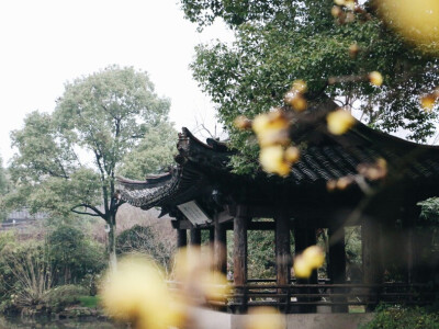 冬天，行走在绍兴。清冷的风吹过，清冷的雨坠落。