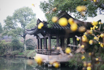 冬天，行走在绍兴。清冷的风吹过，清冷的雨坠落。