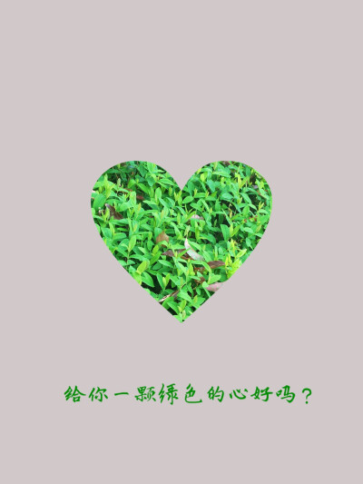 绿色，树叶，心