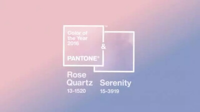 PANTONE色彩报告，Serenity和Rose Quartz