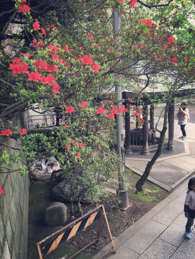 花園神社