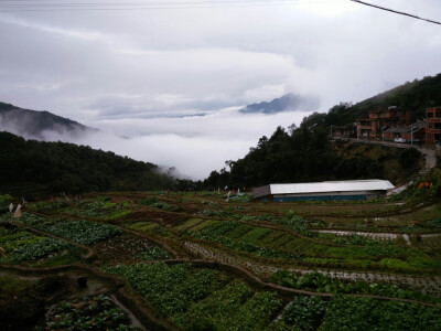 福建南安英都英格。古色古香的屋，枝繁叶茂的树，腾云驾雾的山里人。