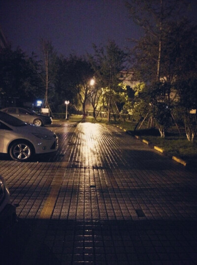 学校晚自习课间偷偷跑出来的。。刚刚下过雨的停车场。啊 大晚上的有点怕。。。