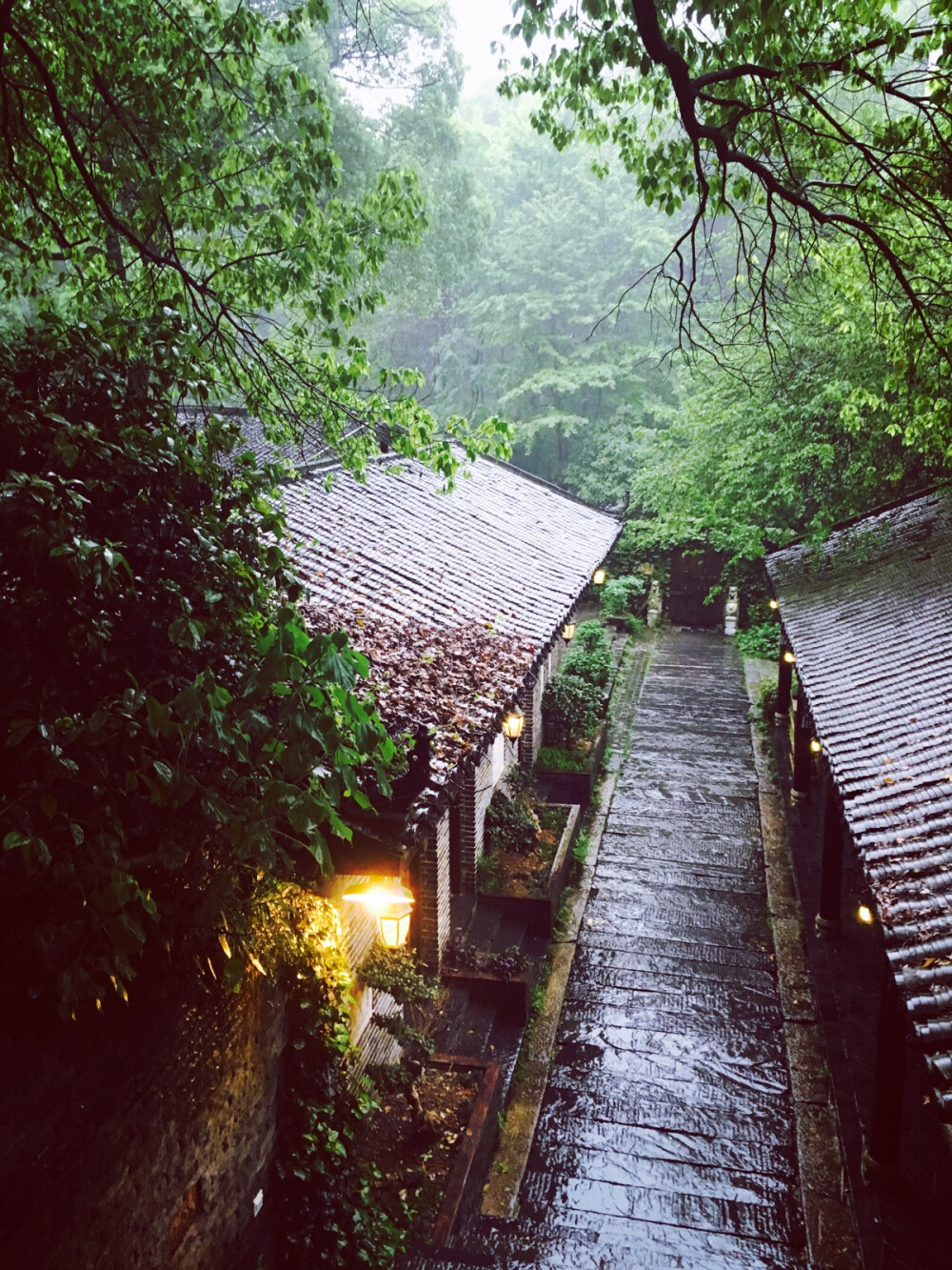 雨巷