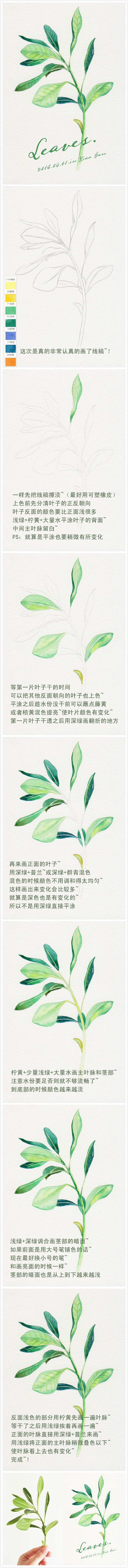 水彩 插画 教程 花卉 植物 小清新 手绘 图源网络 侵删 by 墨巷怀人