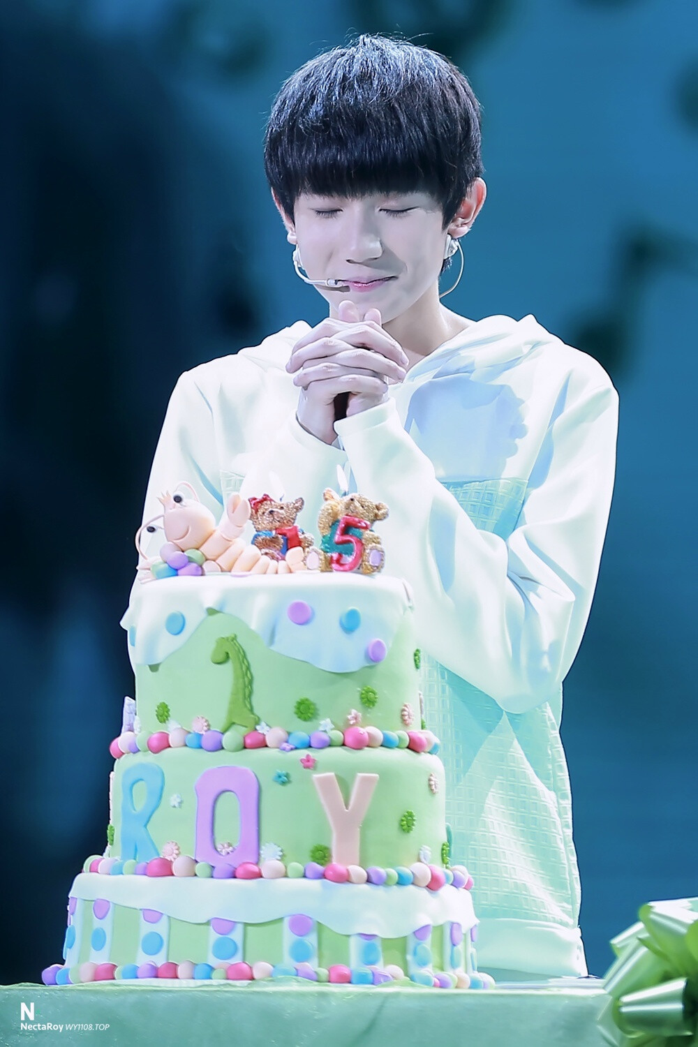 TFBOYS王源 151108 森林小夜曲生日会 cr：NectaRoy