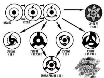 【宇智波】写轮眼进化（？）示意图（侵删）