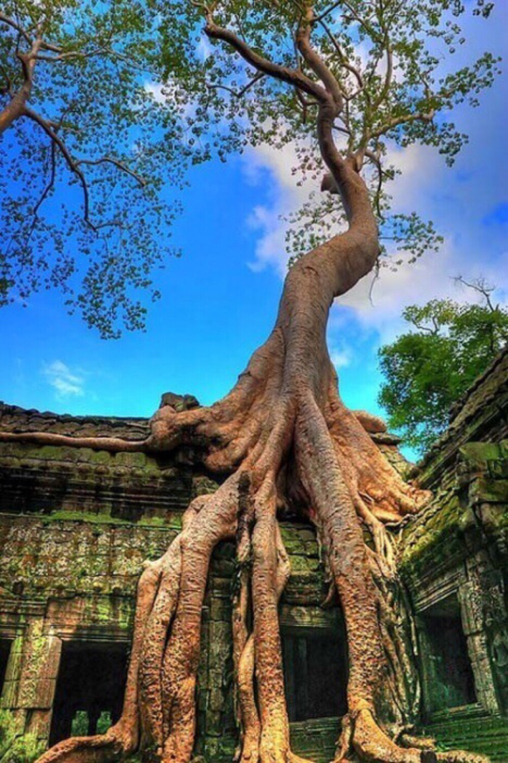 塔普伦寺，吴哥，柬埔寨