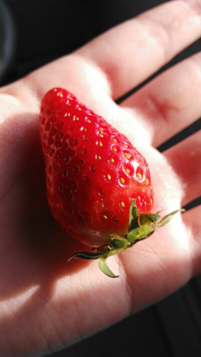 strawberry