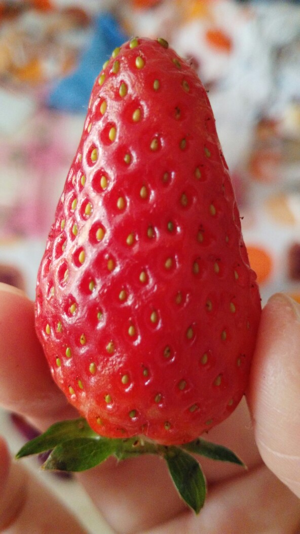 strawberry