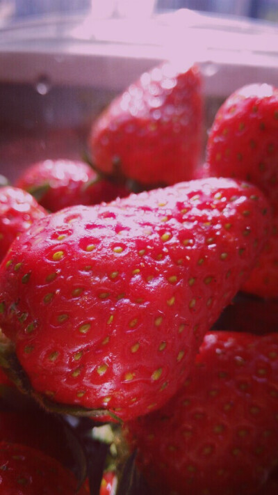 strawberry