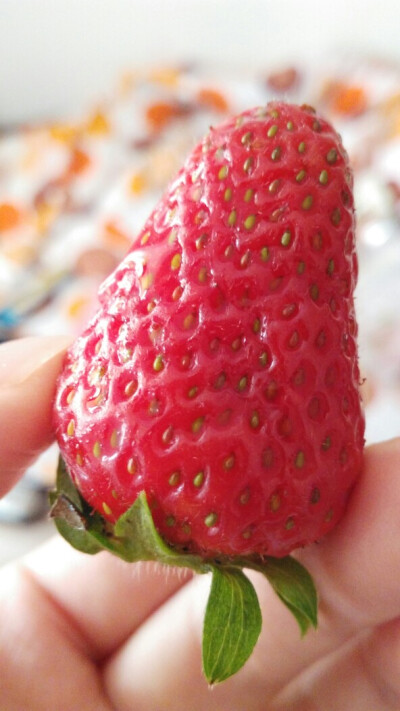 strawberry