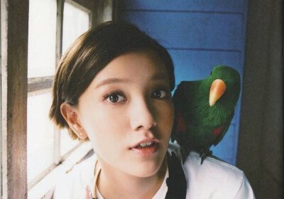 川岛小鸟(Kotori Kawashima)｜郭采洁《给他》 