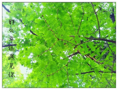 那么幸运遇见你