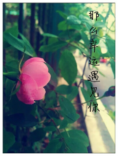 那么幸运遇见你