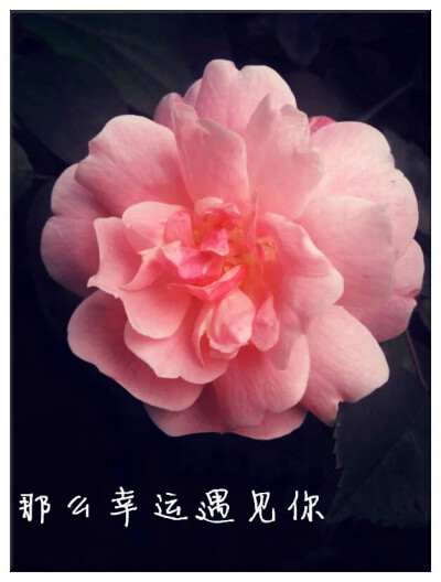 那么幸运遇见你