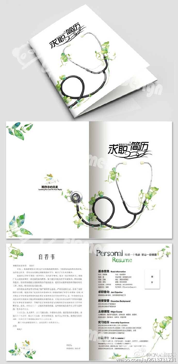 医学专业简历模板PSD+word