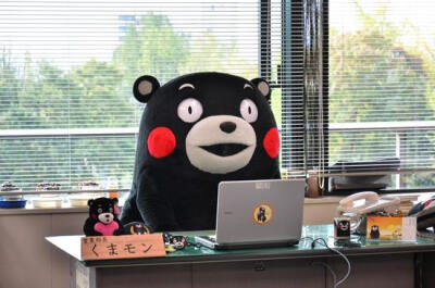小编日常