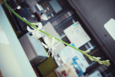 从此我们山不相逢水不相逢。