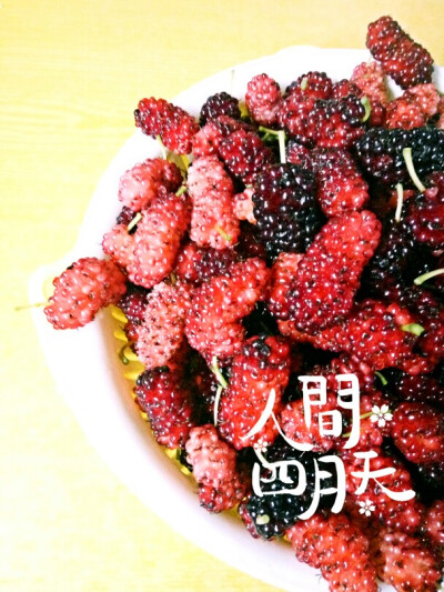 又到桑葚果成熟的时候，凉拌白糖一起吃也不错！