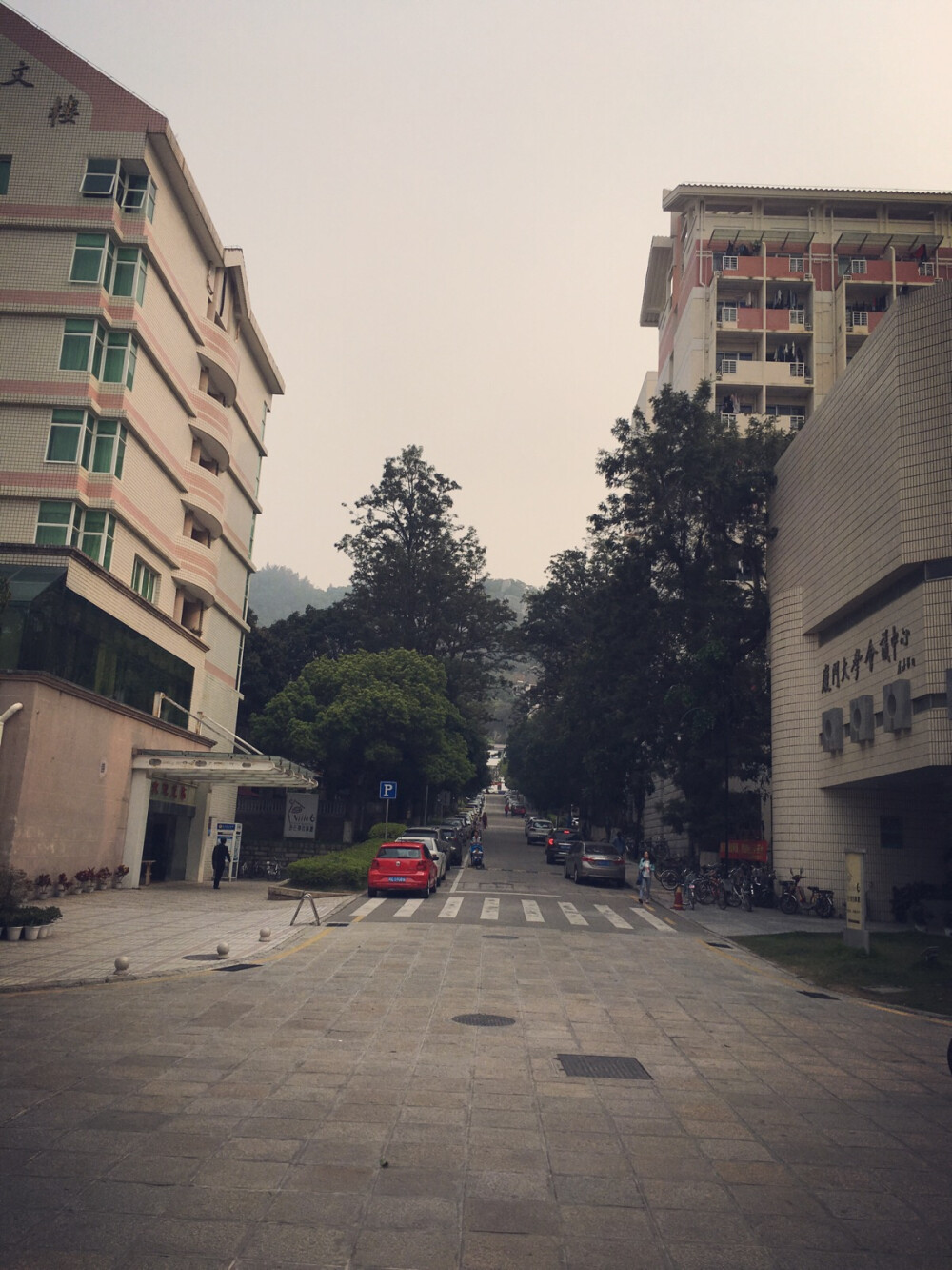 厦门大学，感觉很大，95周年了