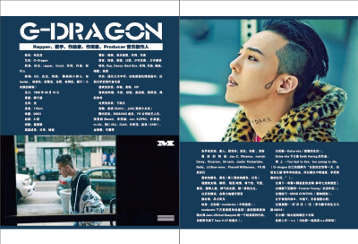 gdragon解说海报