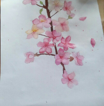 这是桃花