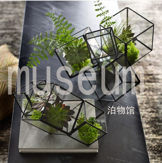 【泊物馆museum】玻璃花器/多肉植物花盆/微景观生态瓶/几何花房