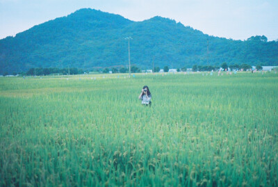 田野