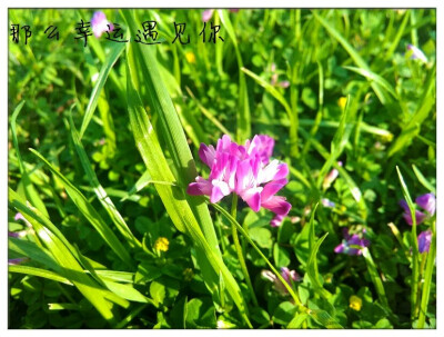 那么幸运遇见你