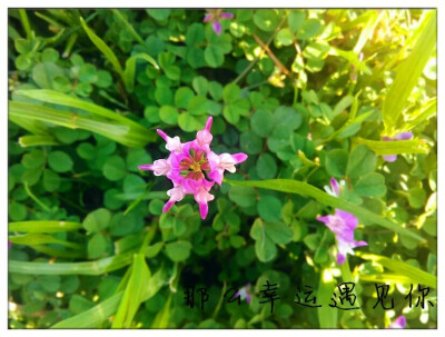 那么幸运遇见你