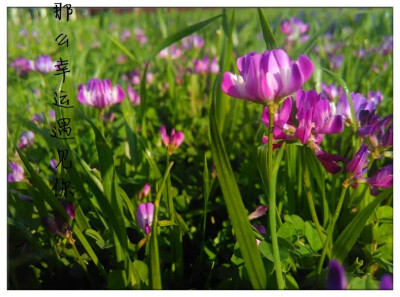 那么幸运遇见你