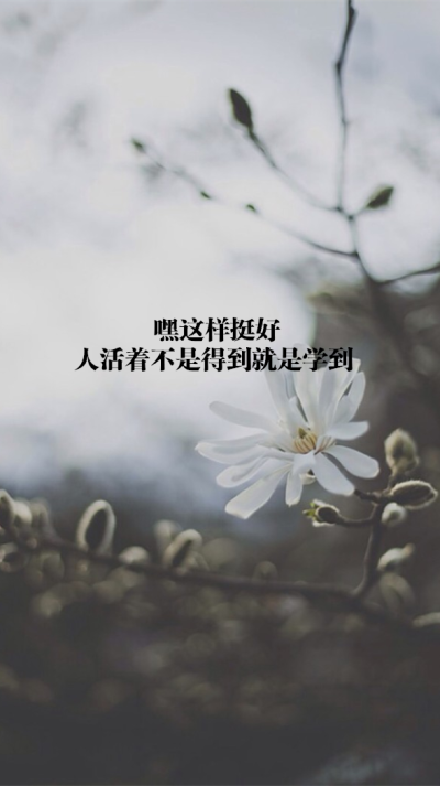 原创 自制 壁纸 背景 文字 禁止加水印修改