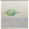 插画