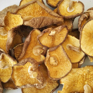 此款属于经济实惠型的香菇，包包子和包饺子不错！