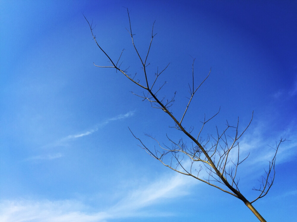 通透的天空