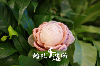 “褪”。拿起捧花，便进入另一段旅程，褪去青涩，或成熟，或妩媚。