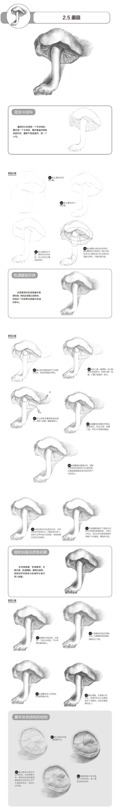 本案例摘自人民邮电出版社出版、爱林文化主编的《铅笔素描三步速成——静物》http://product.dangdang.com/23904027.html