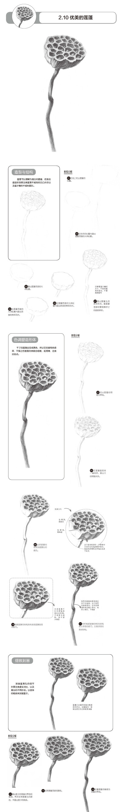 本案例摘自人民邮电出版社出版、爱林文化主编的《铅笔素描三步速成——静物》http://product.dangdang.com/23904027.html